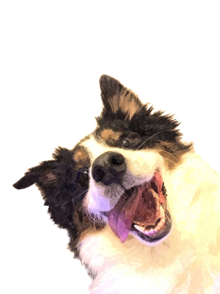 Happy Dog Watercolor