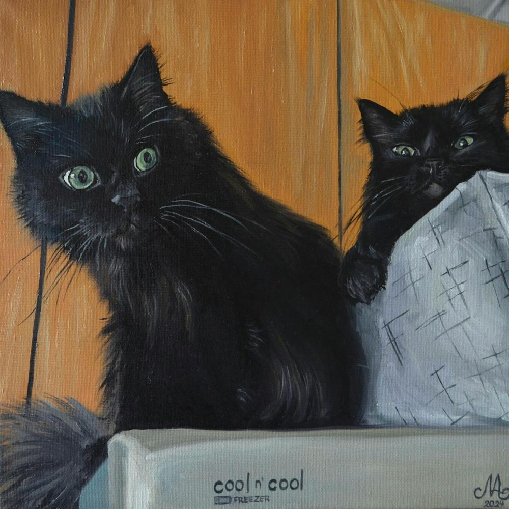 Two Black Cats