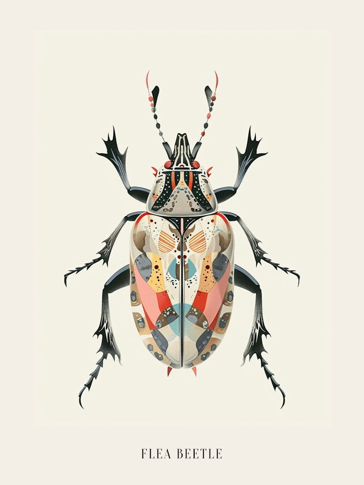 Colourful Insect Illustration Flea Beetle 14 Poster