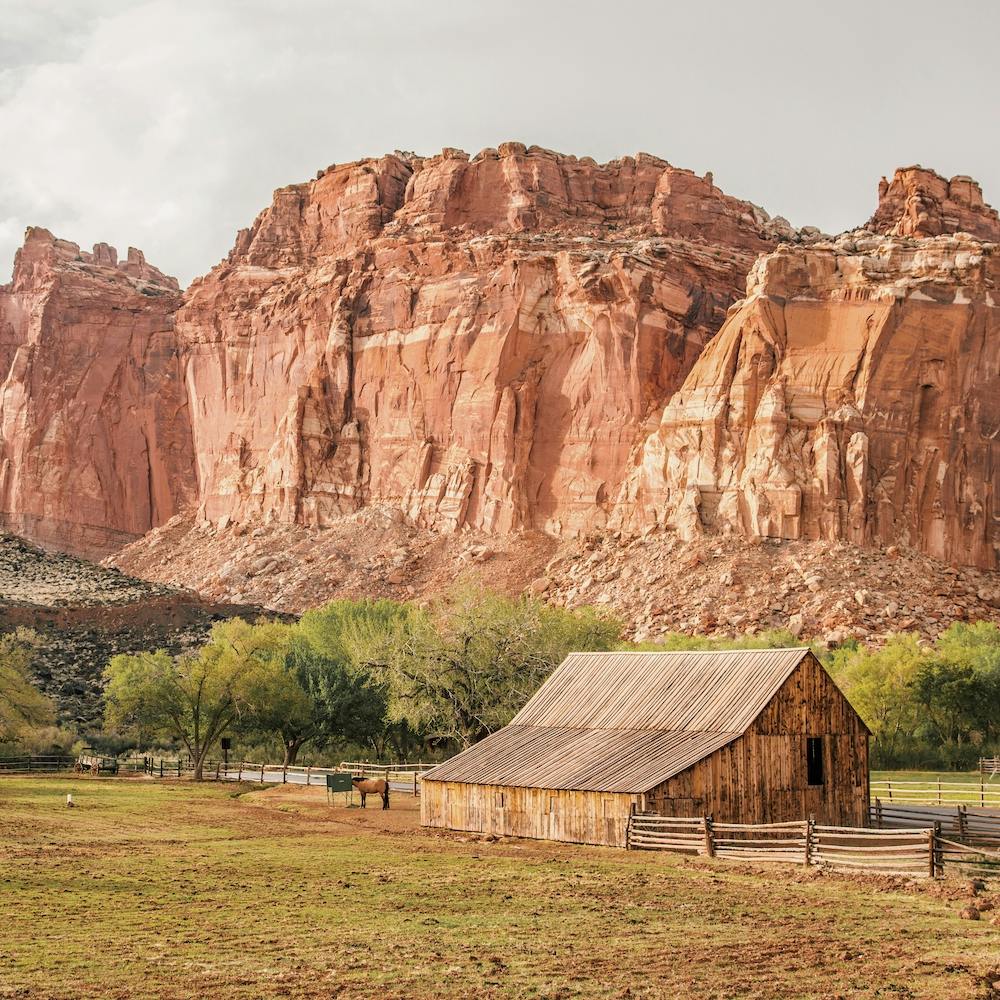 Desert Canyon Homestead