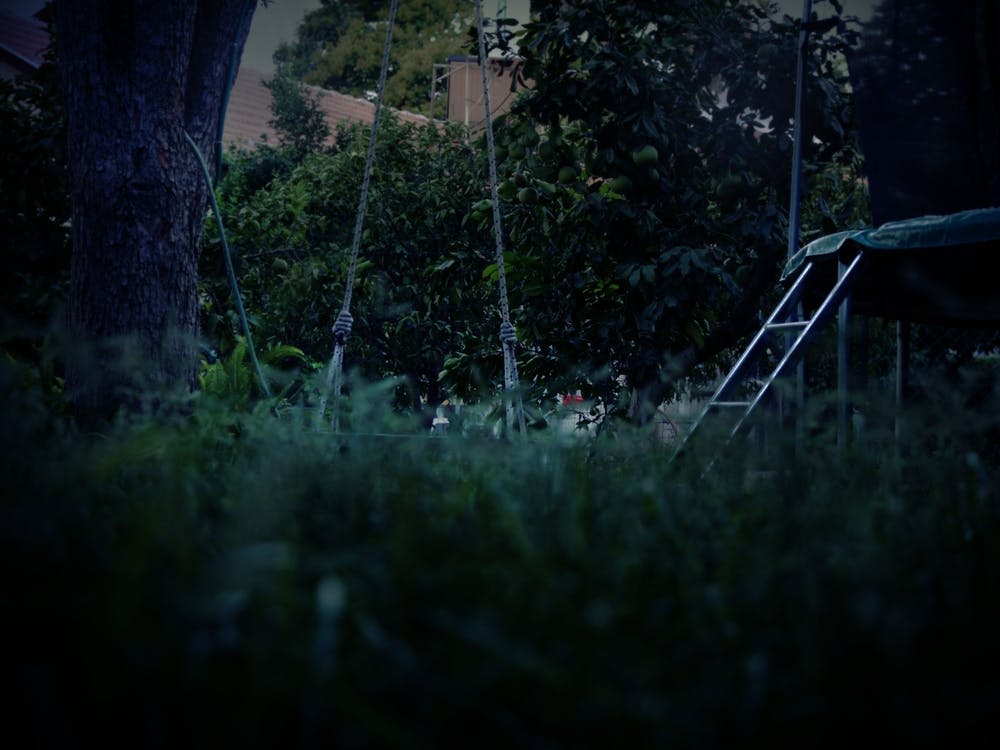 Darkness Swings In The Dark