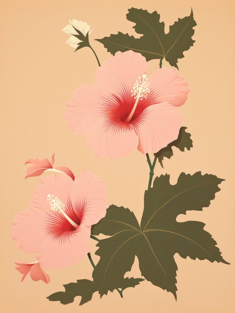 Hibiskusblüte Große Kühne Illustration 2