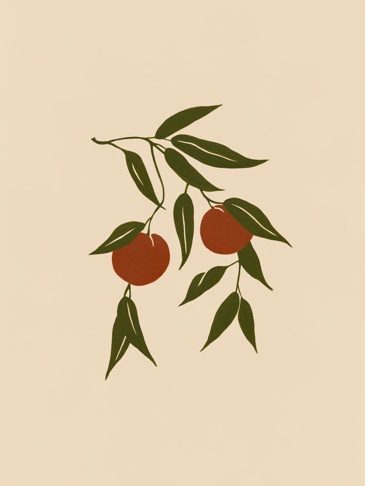 Pfirsich Illustration Nr. 123