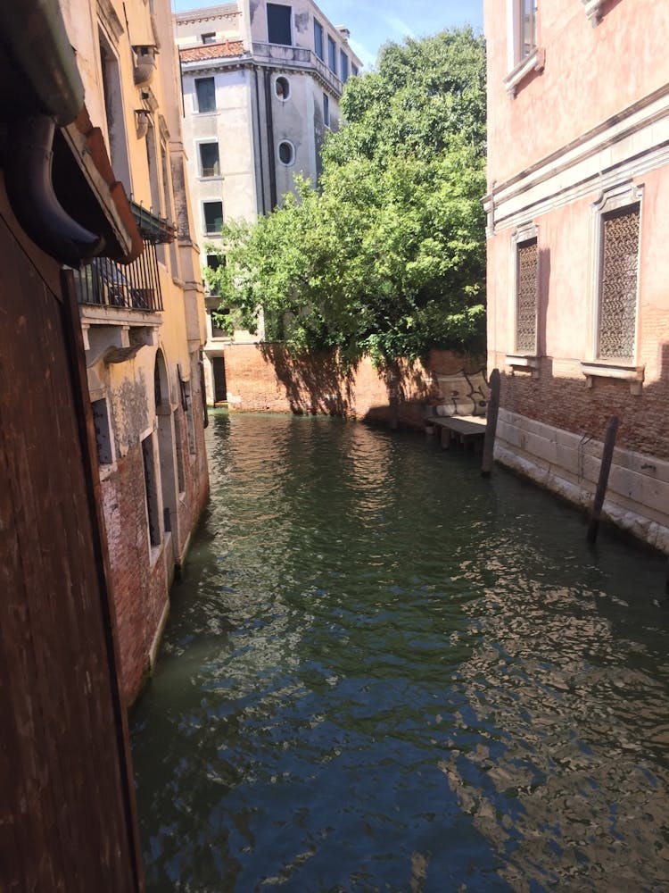 C2819d49 0371 4878 Bc10 7dd63806266c