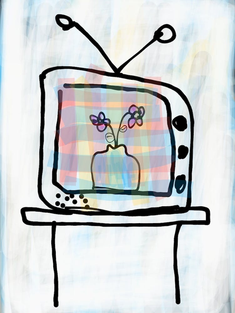 Tv With Flowers