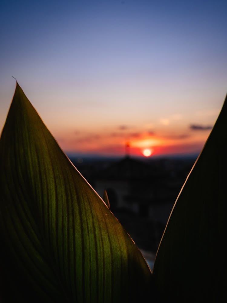 Colourful sunset, Granada, Spain