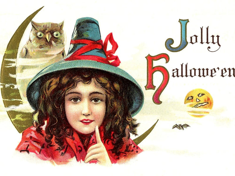 Little Witch Girl Wish You A Joyful Halloween With Her Owl On The Shoulder
