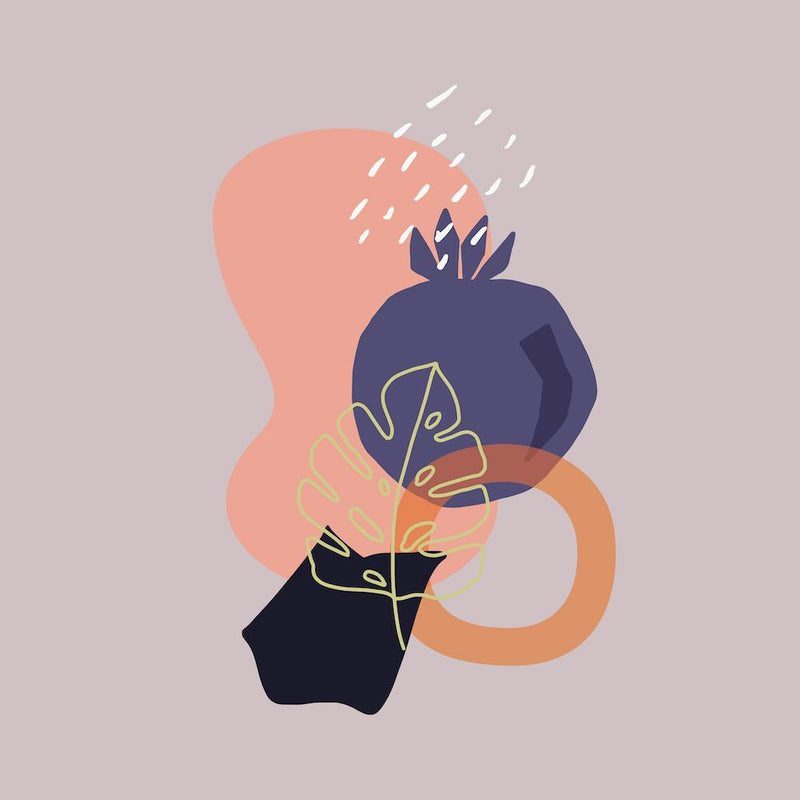 Fun with Shapes