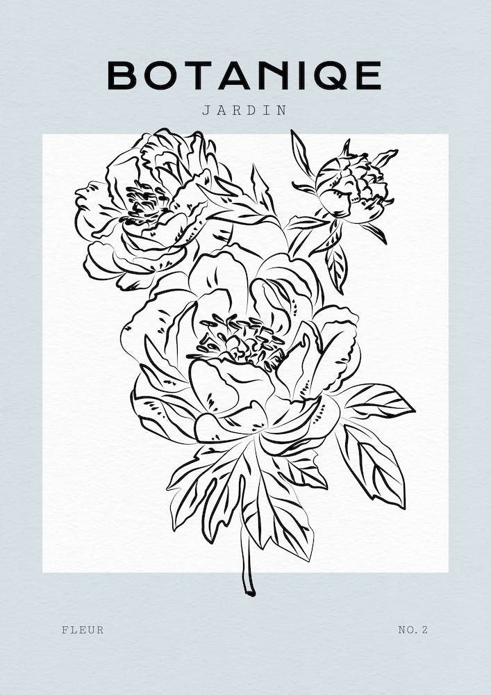 Boho Bohemian 2 Paeonia