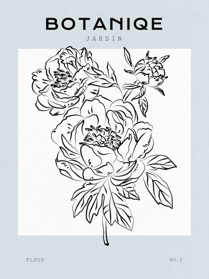 Boho Bohemian 2 Paeonia