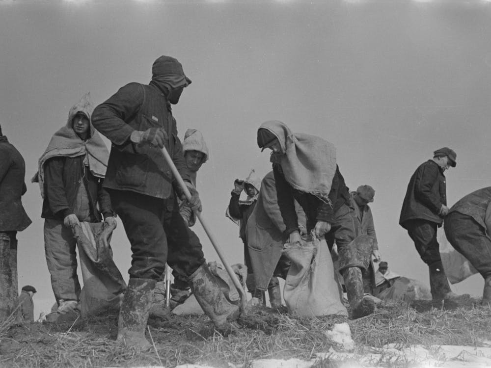 Working On The Levee At Bird S Point, Missouri During The Height Of The Flood By Russell Lee