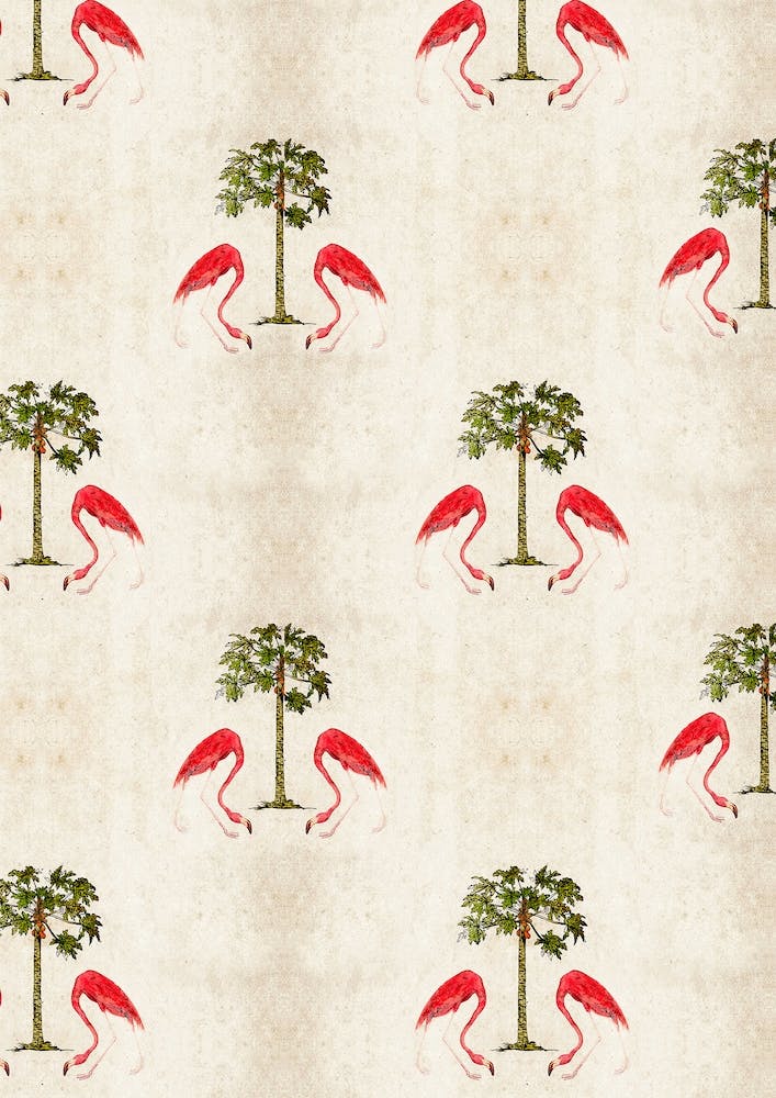 Flamingos Under The Palm Trees