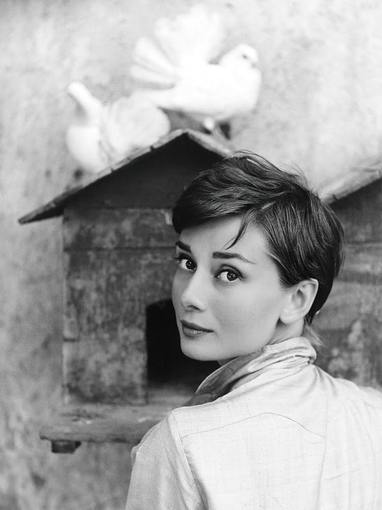Audrey mit Tauben, Vintage Schwarz-Weiß-Foto