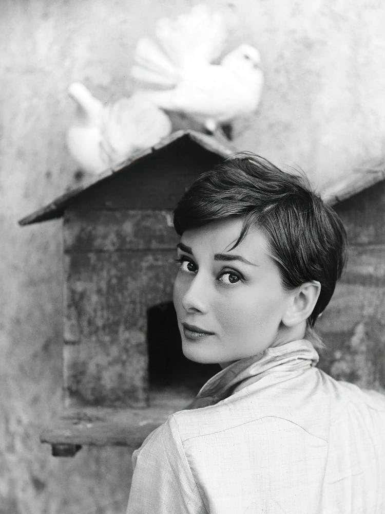 Audrey with Doves, Vintage Black and White Old Photo