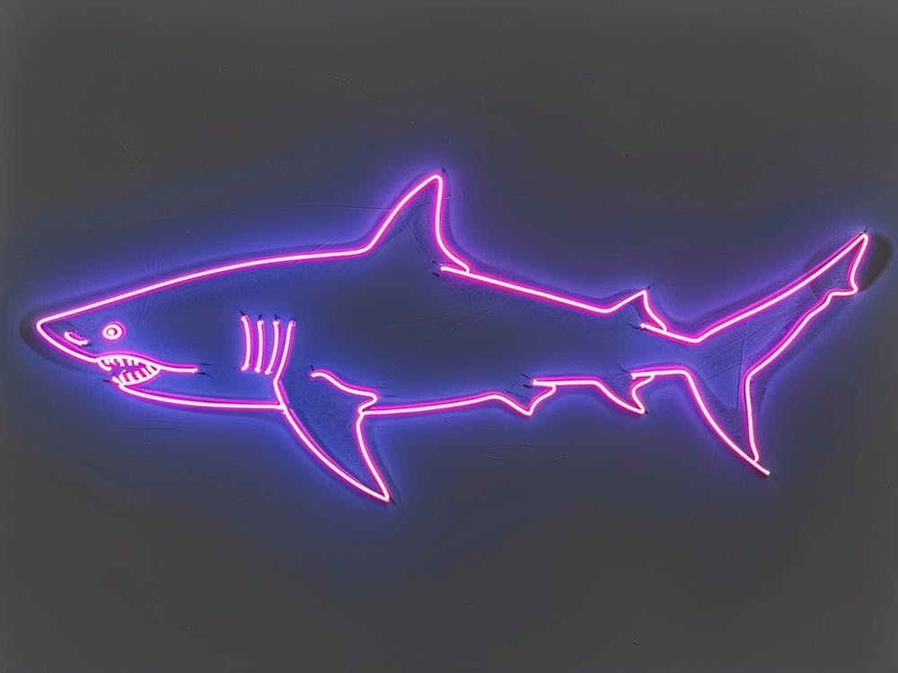 Neon Pink Nurse Shark 5