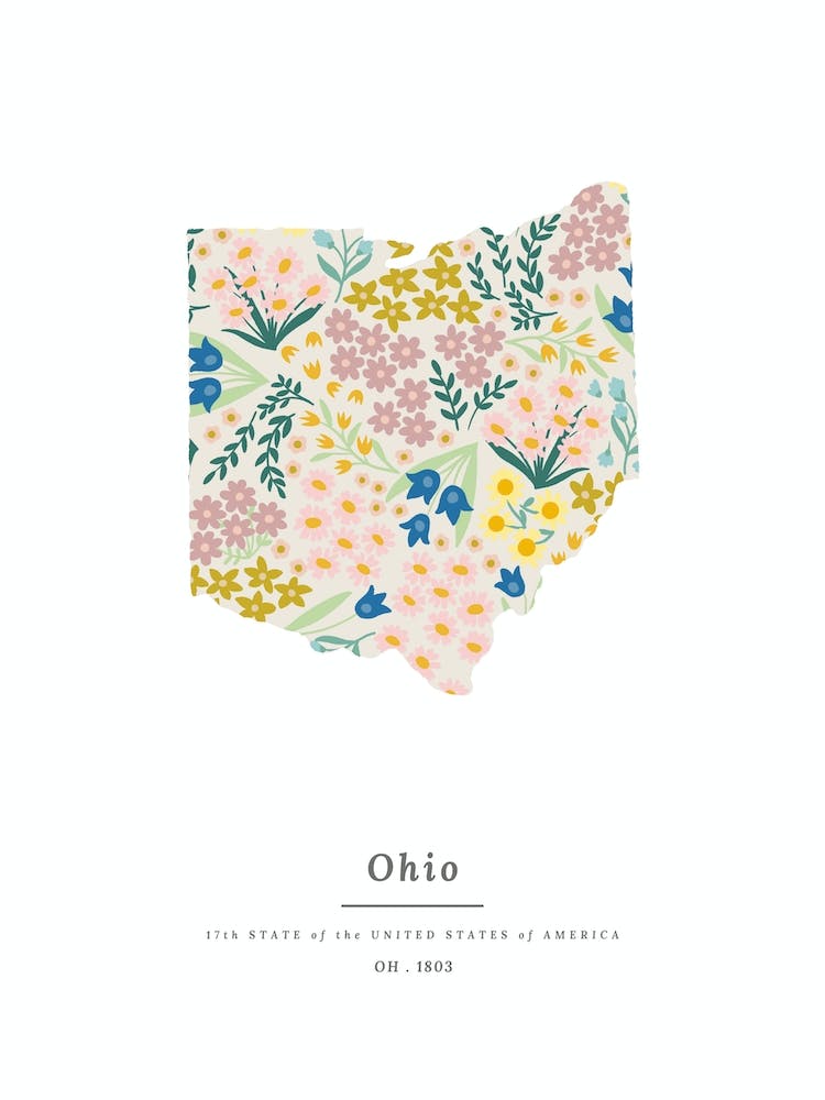 Ohio | Wildflower Mix