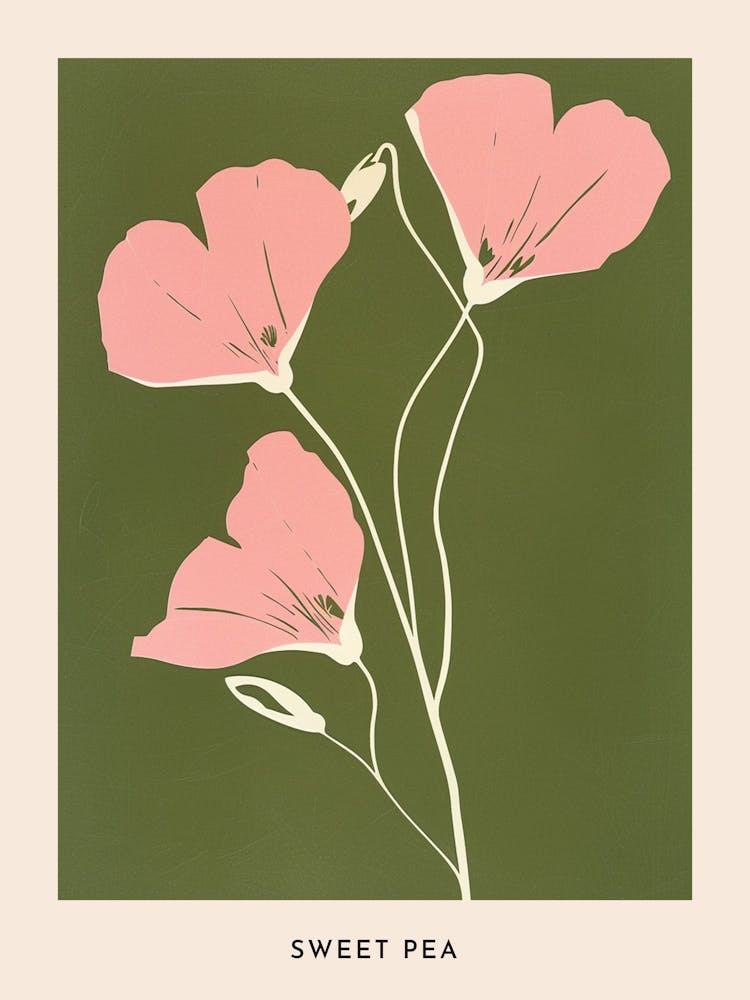 Pink & Green Sweet Pea 2 Flower Poster