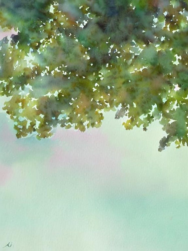 Acropora Vaughani Iii Storybook Watercolour