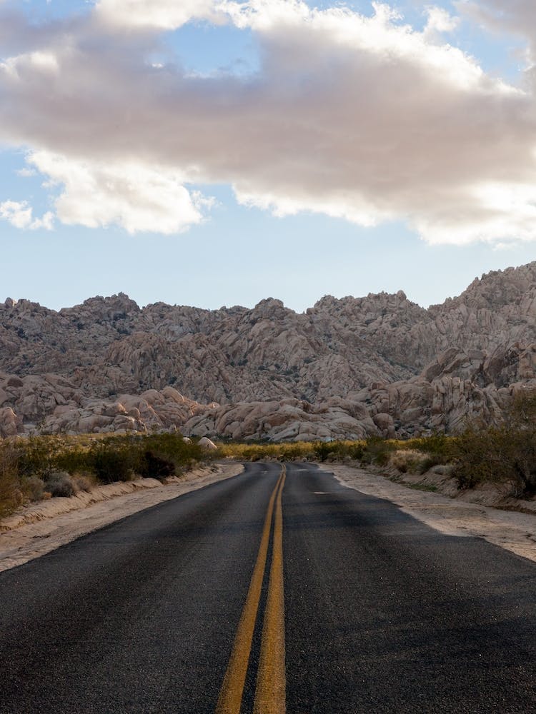 Joshua Tree.