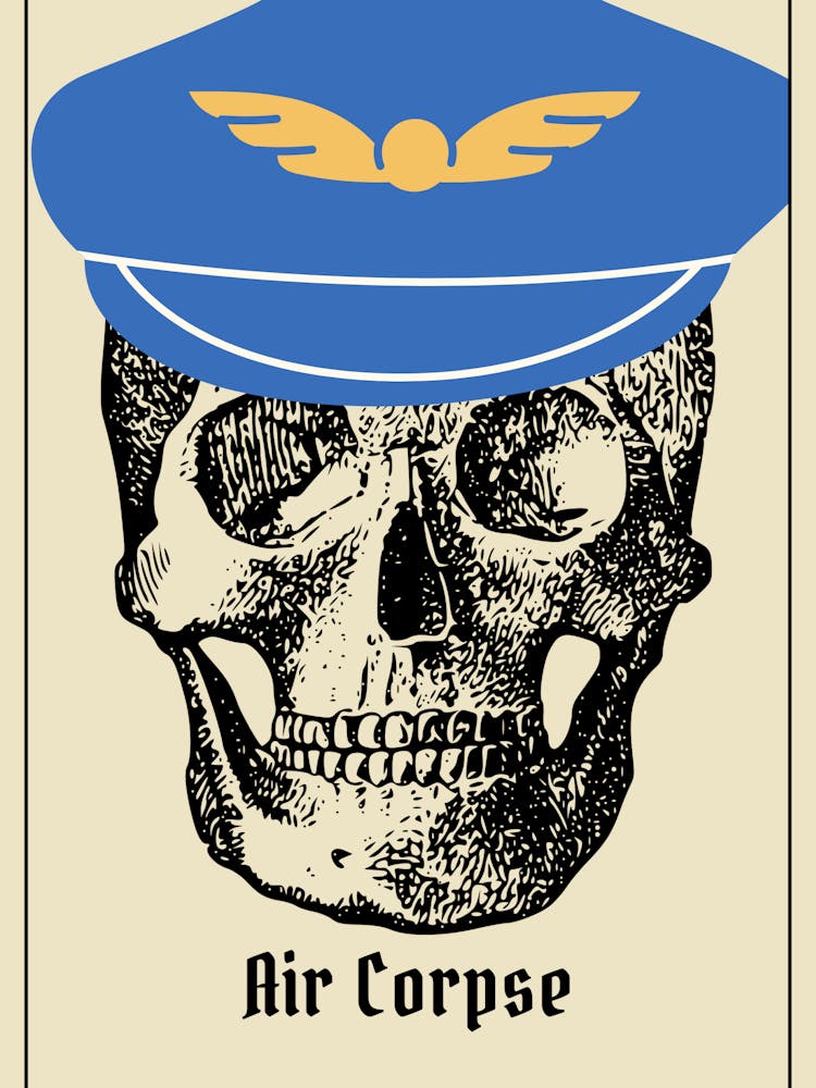 Air Force Skull Humor