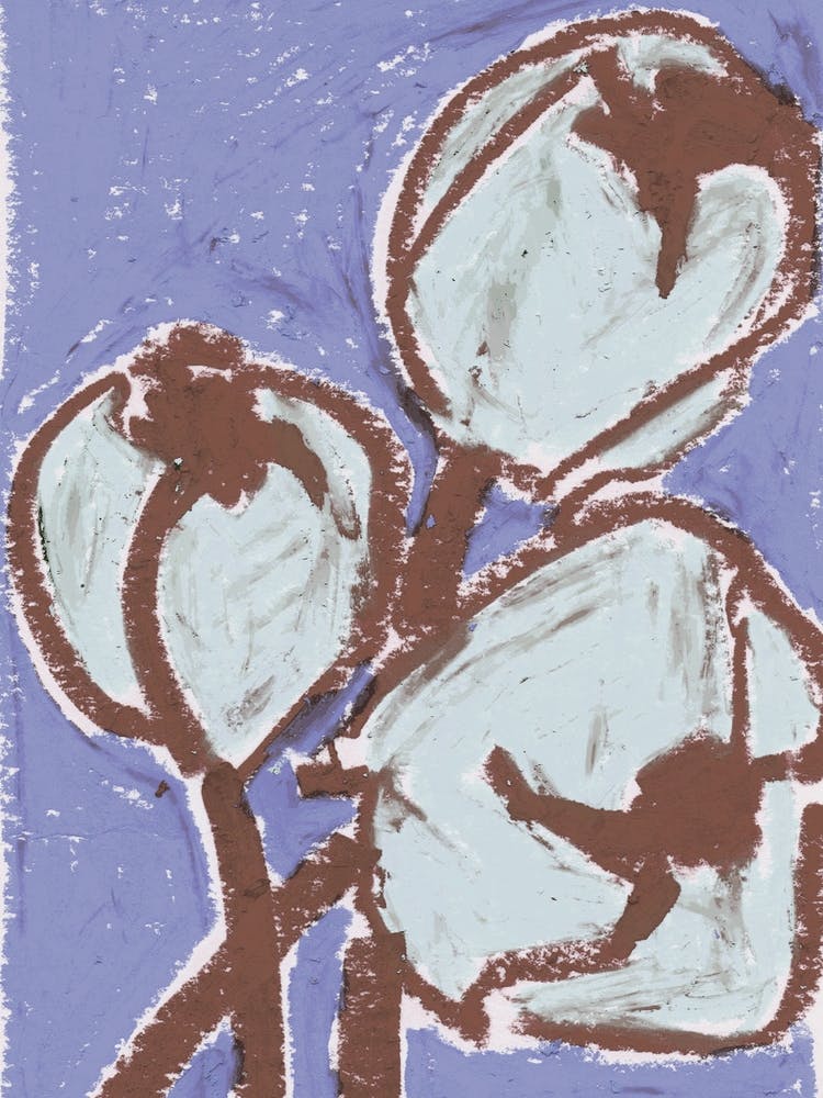 Tulipes Bleu Coton