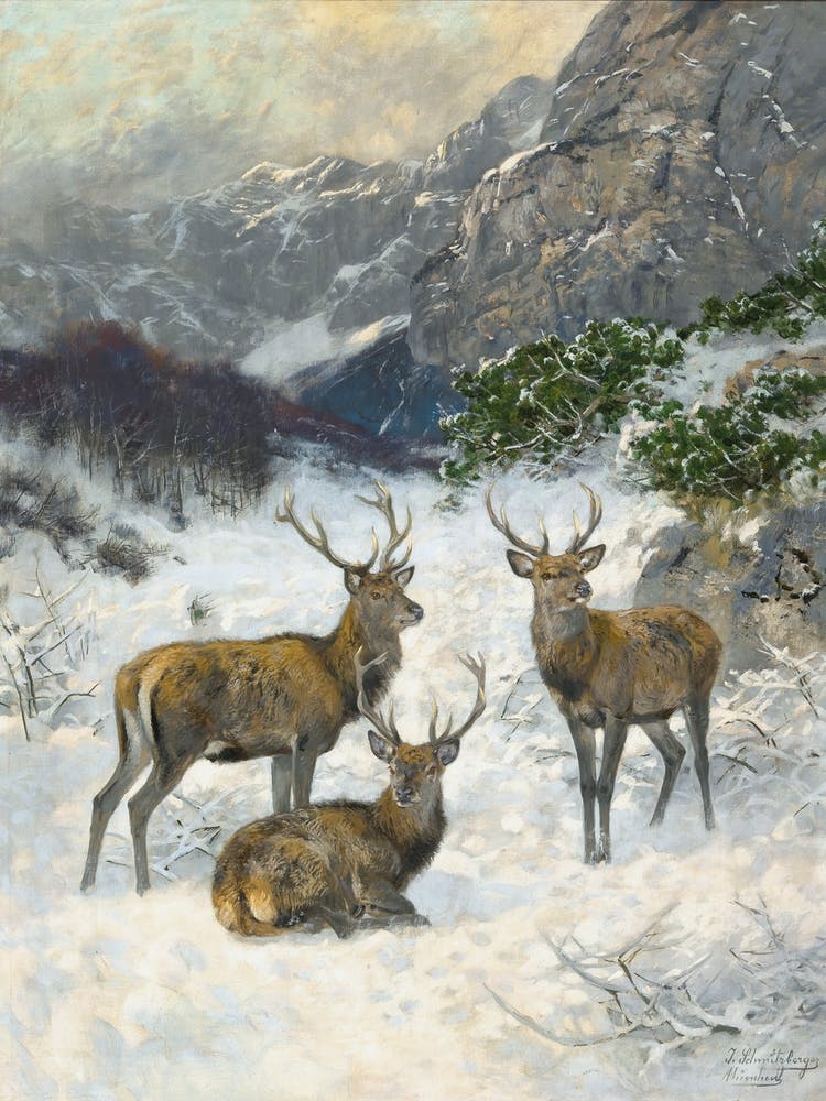 A Deer Herd in Winter by Josef Schmitzberger (1851–1930) Stag, Winter Print
