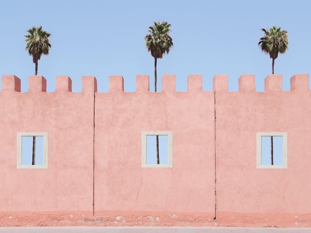Palm Tree Castle