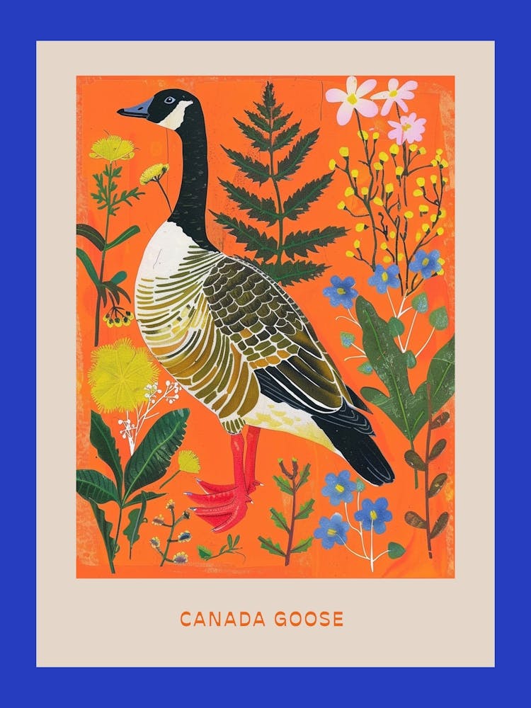 Spring Birds Poster Canada Goose 2