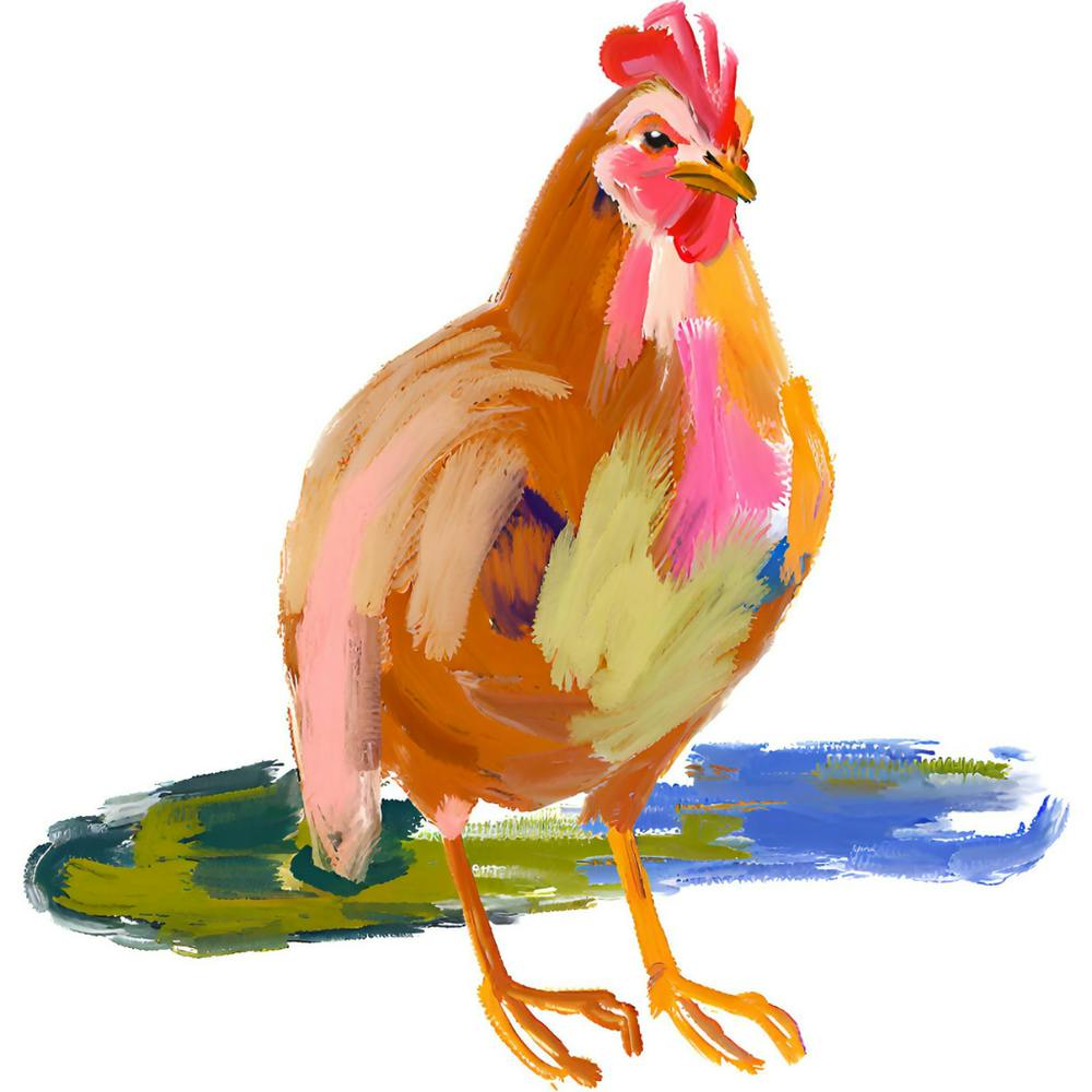 Chicken 07