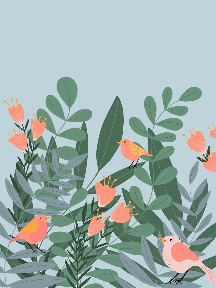 Summer Birds