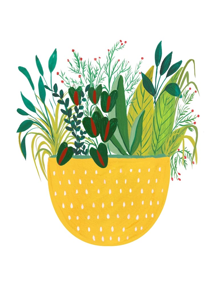 Yellow Potted Plant
