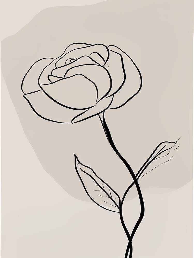 Rose Line Art Abstract 6