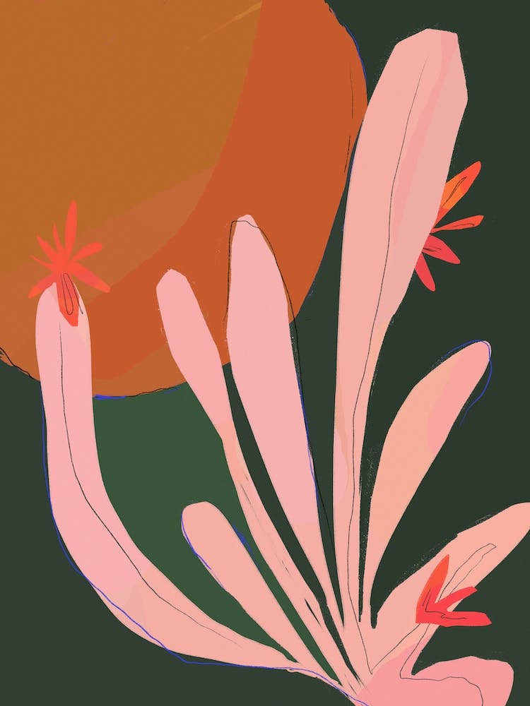 Sunbaked Desert Plant