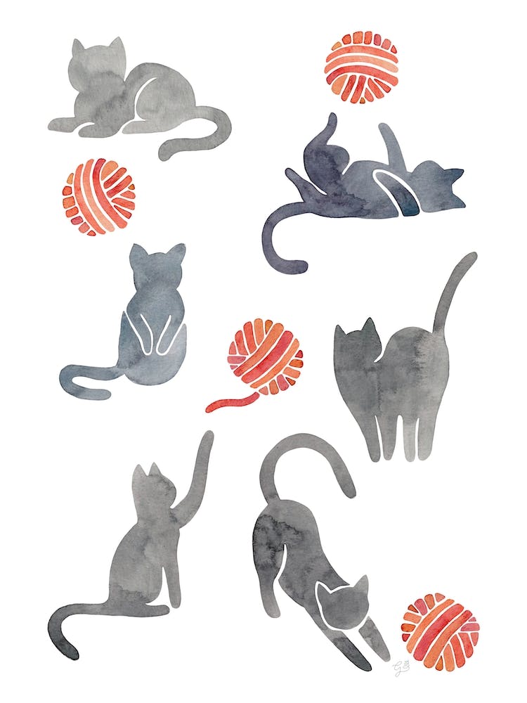 Cats