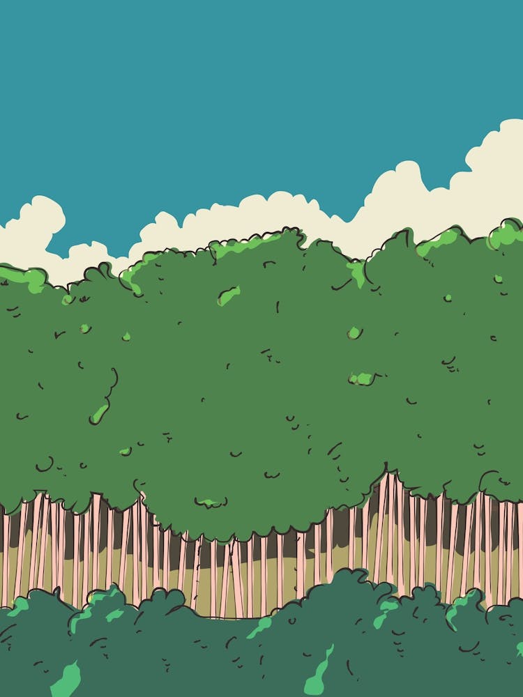 Forêt