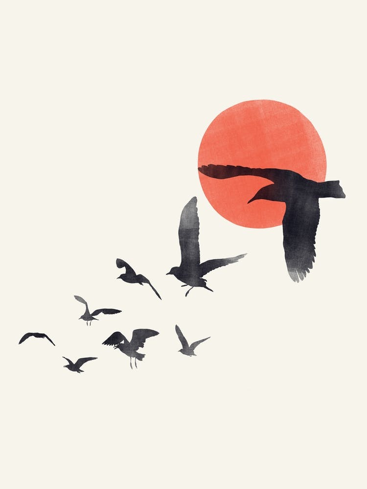 Flying Birds