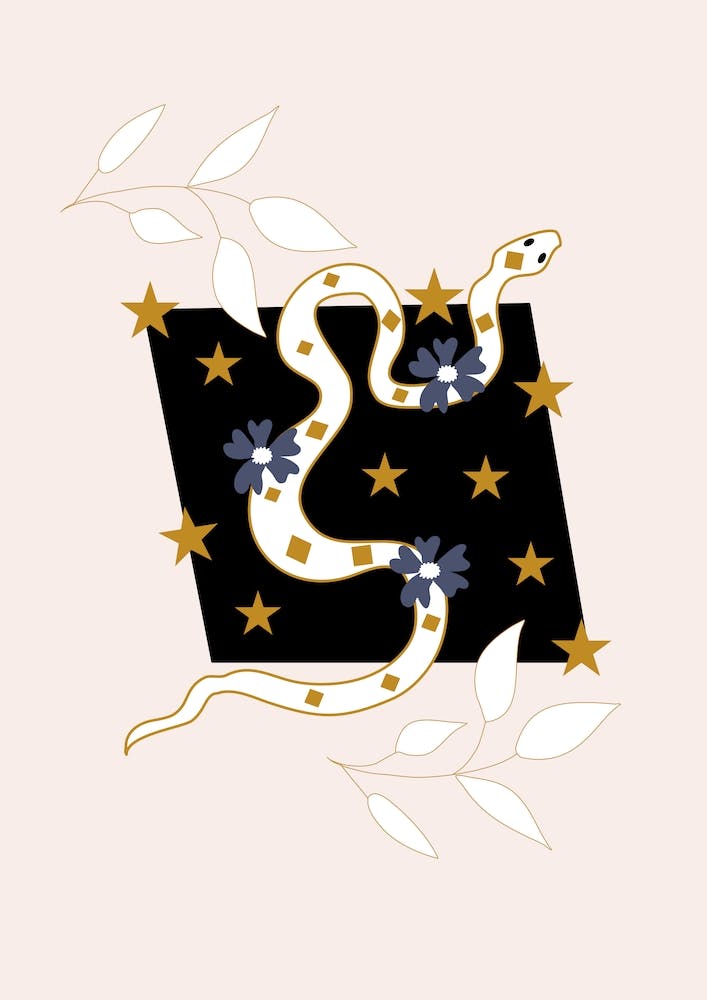 Snake And Flower Illustration