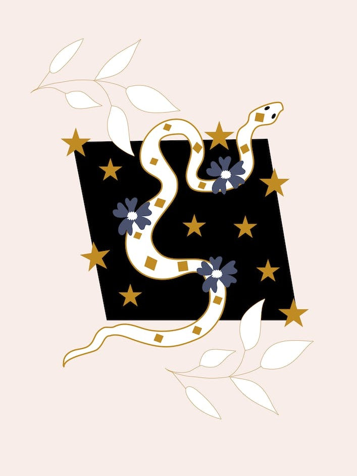 Snake And Flower Illustration