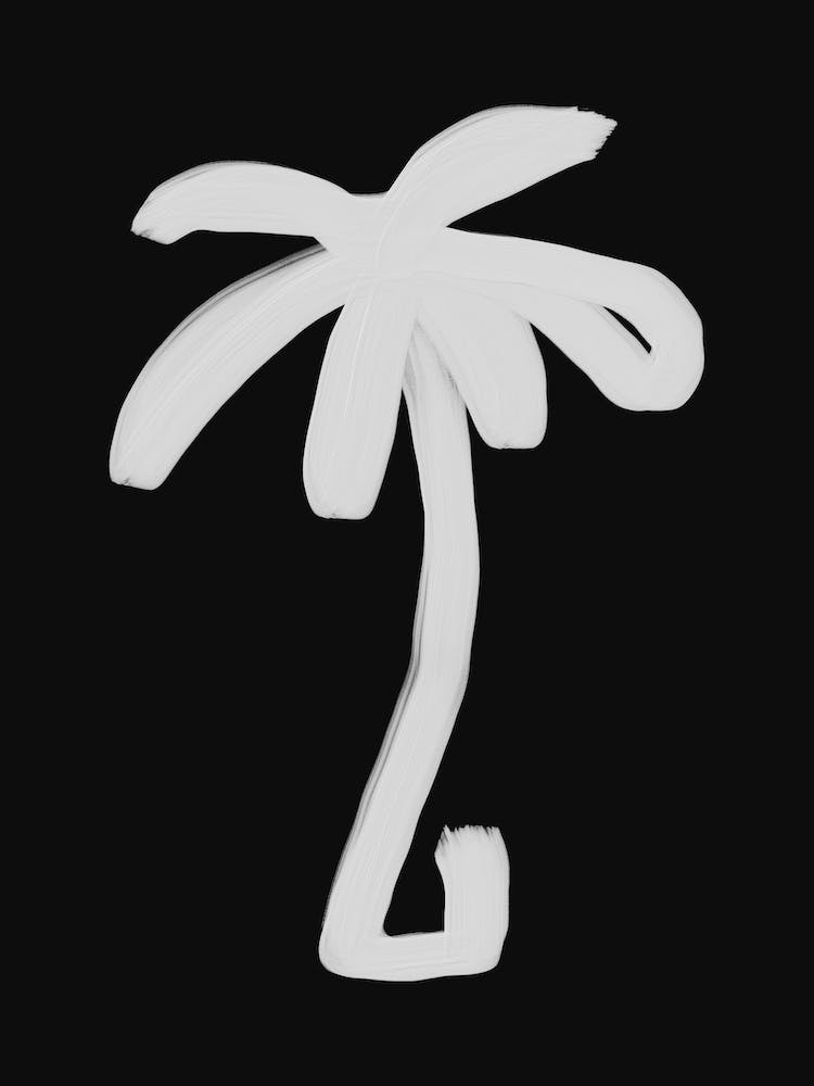 Palm Black And White