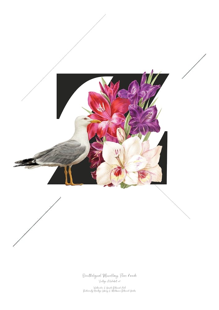 Botanical  Alphabet Z