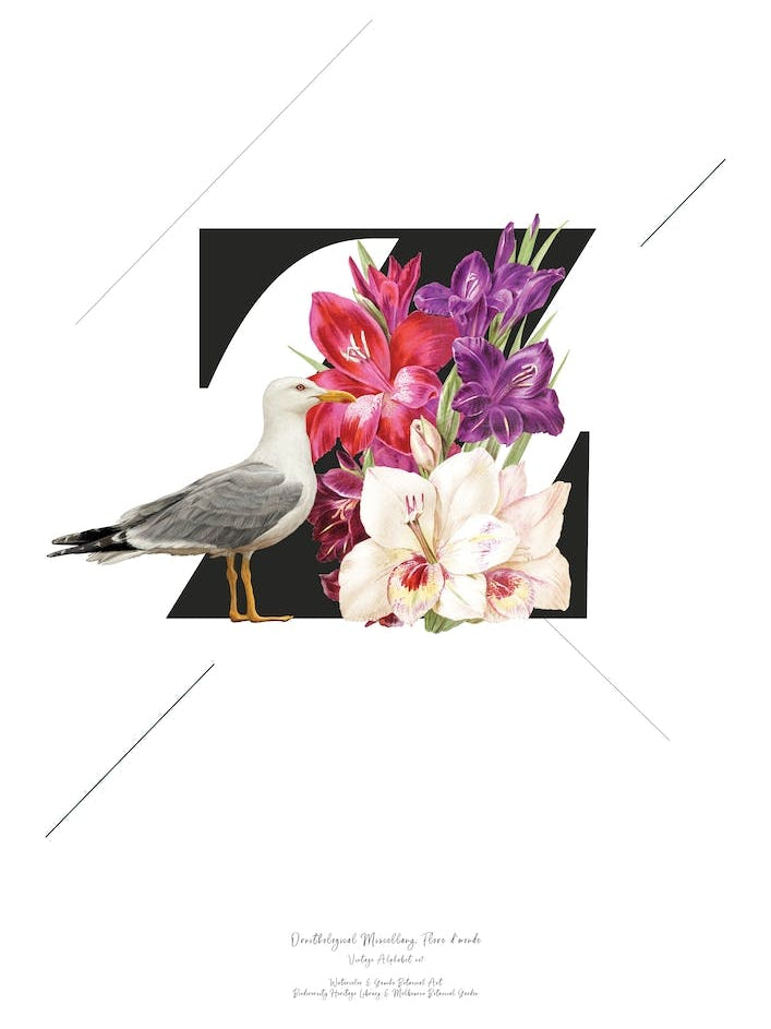 Botanical  Alphabet Z