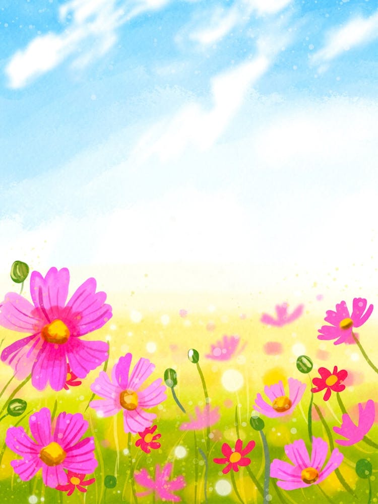 Cosmos Flower Background
