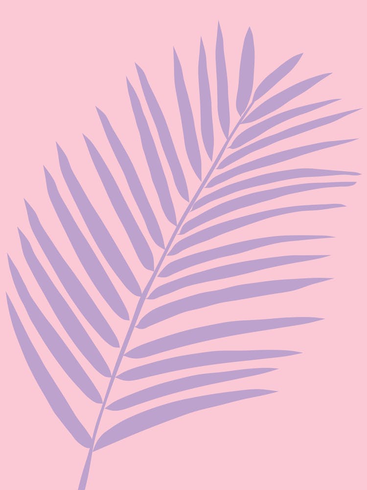 Palm Leaf Pink And Purple
