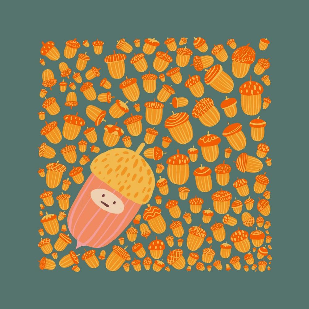 Acorns