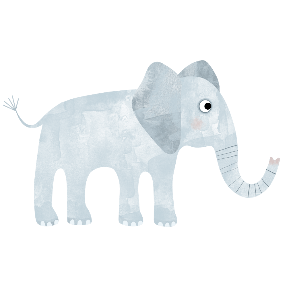 Baby Elephant