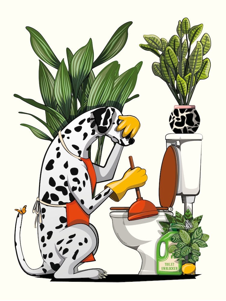 Dalmatain Unblocking Toilet