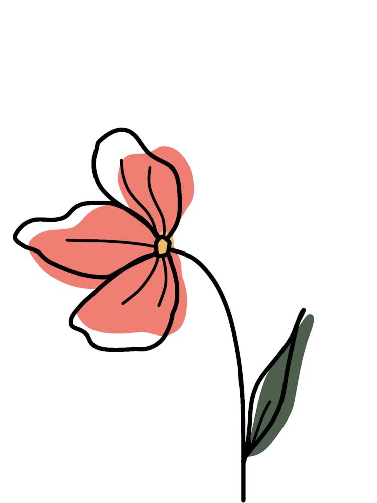 Rosa Blume
