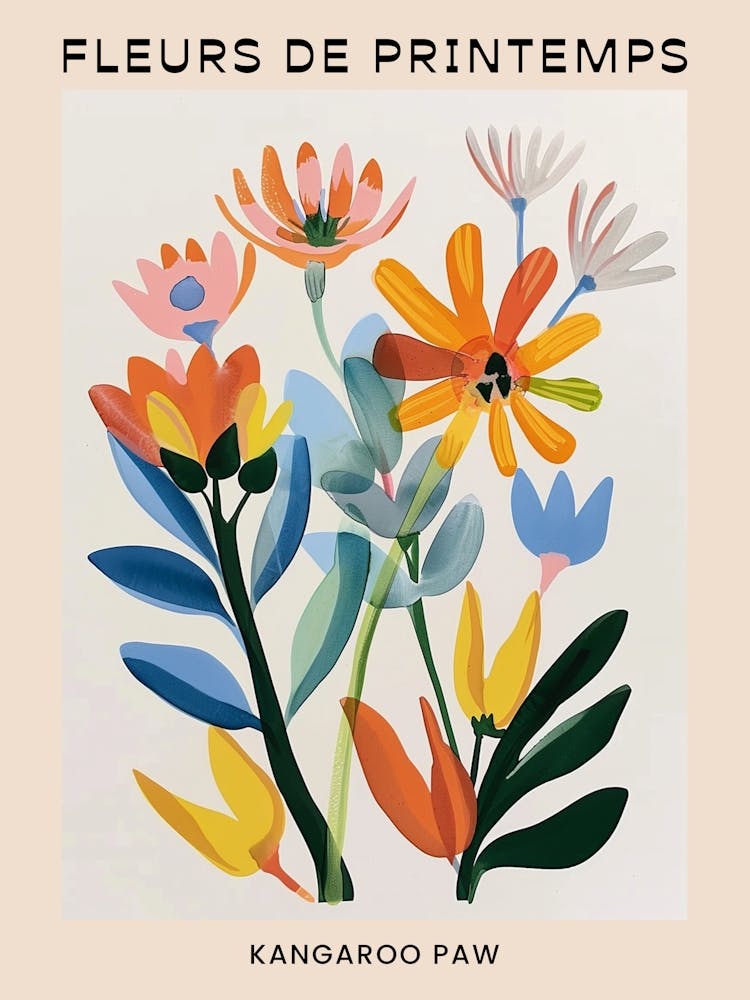 Spring Floral French Poster  Kangaroo Paw 3