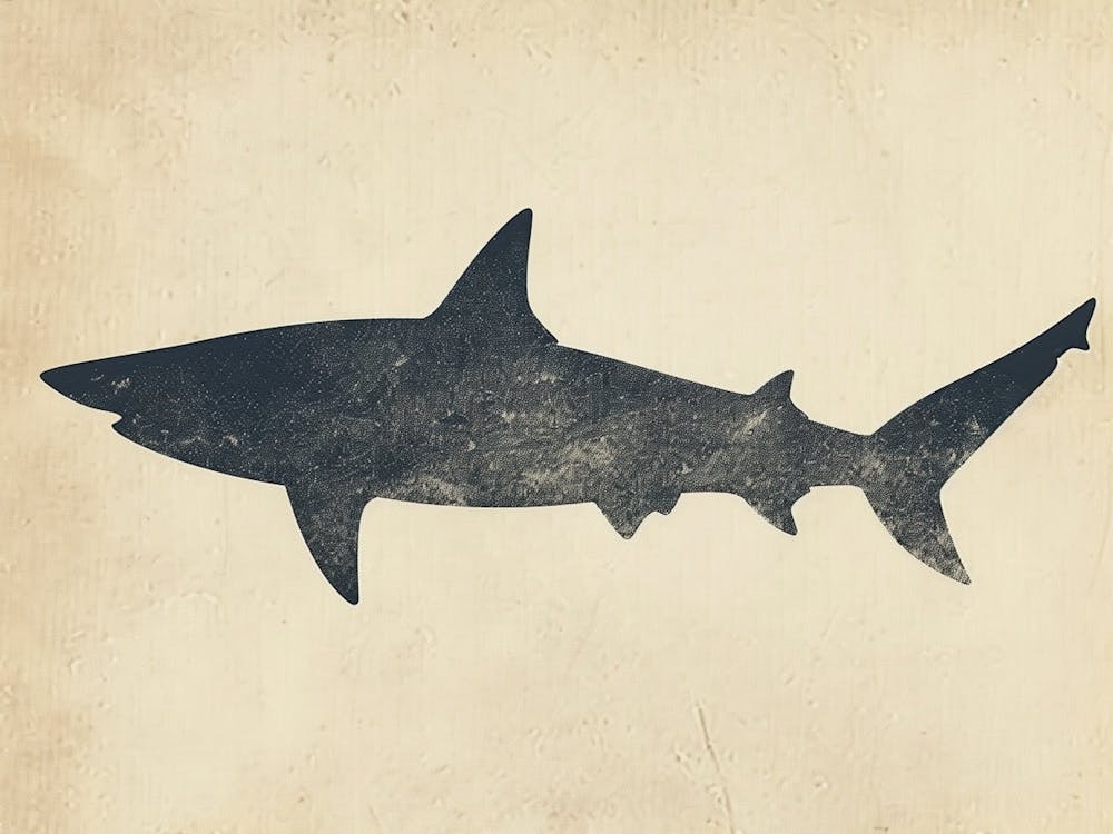 Mako Shark Grey Silhouette 5