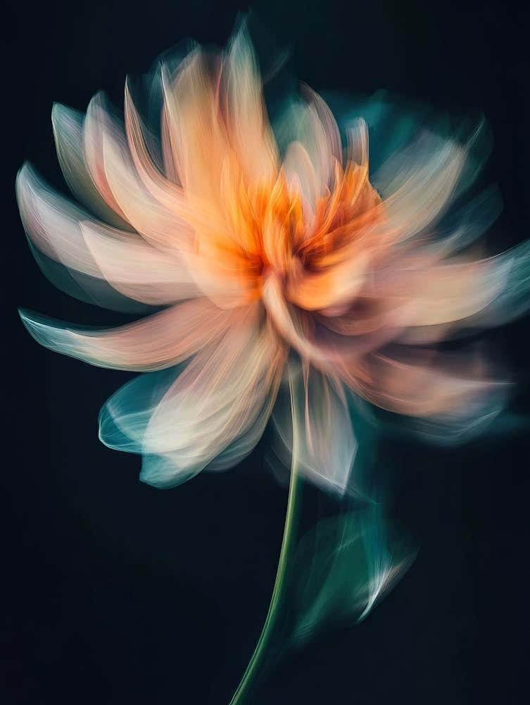 Abstract Flower 6